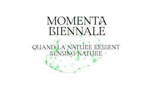 17th MOMENTA Biennale
