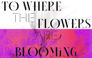 to where the flowers are blooming