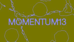 MOMENTUM 13